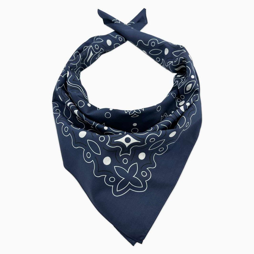 The Silkies: Lightweight Cowboy Bandanas, Made in the USA – Mister Bandana