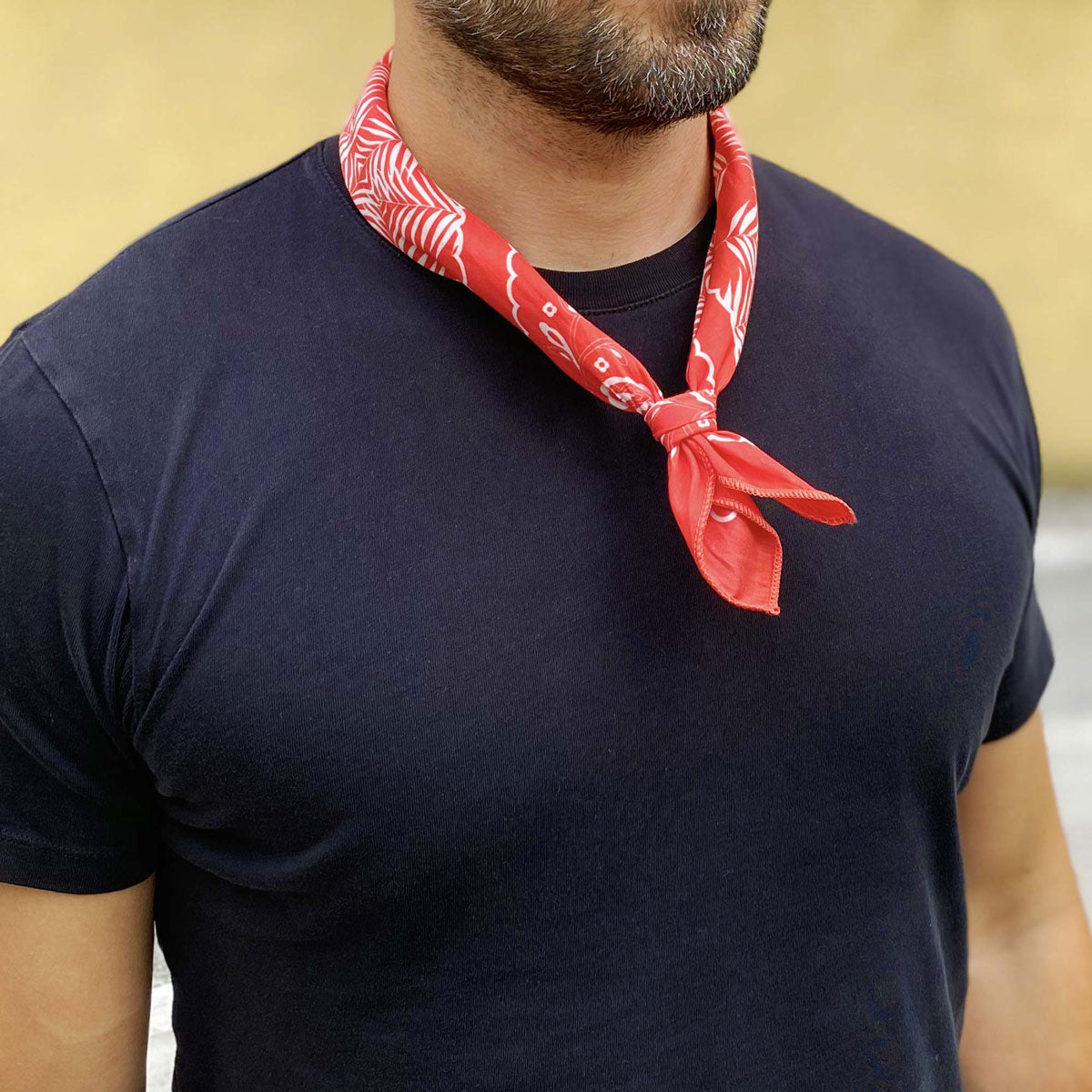 The Silkies: Lightweight Cowboy Bandanas, Made in the USA – Mister Bandana